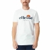 Heren-T-Shirt met Korte Mouwen Ellesse  Dritto