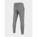 Pantalon de Trening pentru Adulți 4F Functional  Bărbați