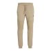 Bukser voksen Jack & Jones Beige Menn