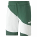 Pantaloni Corti Sportivi da Uomo Puma Power Cat Verde