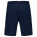 Pantaloni Corti Sportivi da Uomo Le coq sportif Tri Regular N°1 Sky  Azzurro