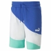 Herren-Sportshorts Puma Power Cat Bunt