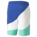 Herren-Sportshorts Puma Power Cat Bunt