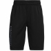 Kindersportbroek Under Armour Prototype Zwart Kinderen