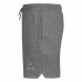 Lasten urheilushortsit Nike Essentials  Tumman harmaa