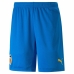 Herren-Sportshorts Puma Valencia CF Third Kit 22/23 Blau