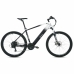 Bicicletă Electrică Youin BK3000 EVEREST 250 W 29