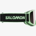 Лыжные очки Salomon Aksium 2.0 Зеленый