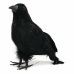 Decoración para Halloween Negro Pájaro