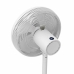 Freestanding Fan Oceanic