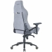 Chaise de jeu Forgeon Spica  Gris