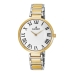 Horloge Dames Radiant RA461204