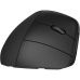 Souris sans-fil HP 920 Noir