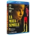 Blu Ray La Mala Semilla