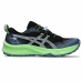 Chaussures de Running pour Adultes Asics Gel-Trabuco 12 Noir Vert