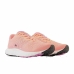 Løbesko til voksne New Balance 520V8 Pink Dame