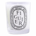 Αρωματικό Κερί Diptyque Scented Candle 190 g