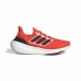 Joggesko for voksne Adidas Ultraboost Light Rød