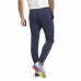 Adult Trousers Reebok Identity Blue Men