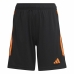 Miesten urheilushortsit Adidas Tiro 23 Club Musta