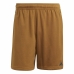 Men's Sports Shorts Adidas Yoga Basert Golden