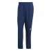 Pantalone per Adulti Adidas Designed For Movement Azzurro Uomo