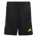 Barnas sportshorts Adidas Tiro 23 Club Svart