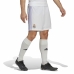 Aikuisten treenijalkapallohousut Real Madrid C.F. First Kit 22/23 Valkoinen Unisex