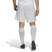 Aikuisten treenijalkapallohousut Real Madrid C.F. First Kit 22/23 Valkoinen Unisex