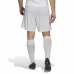 Pantaloncino da Allenamento Calcio per Adulti Real Madrid C.F. First Kit 22/23 Bianco Unisex