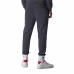 Pantalone per Adulti Champion Rib Cuff Grigio Uomo