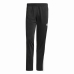 Adult Trousers Adidas Originals Firebird Black Men