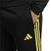 Hlače za Nogometni Trening za Odrasle Adidas Tiro 23 Crna Moški