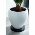 Flowerpot Standt with Wheels Nature Black polypropylene (Ø 29,2 x 4 cm)