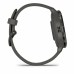 Smartwatch GARMIN Venu 3S Grey 1,2