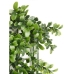 Függőleges kerti Zöld Műanyag Ágynemű 50 x 50 cm