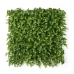 Jardin vertical Vert Plastique Volets 50 x 50 cm