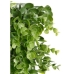 Jardin vertical Vert Plastique Volets 50 x 50 cm