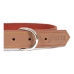 Hondenhalsband Gloria Oasis Bruin (45 x 1,8 cm)