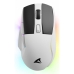 Mouse Sharkoon SGM50W  Alb Negru/Alb