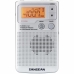 Radio Sangean DT250S Argintiu