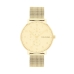 Horloge Heren Calvin Klein 25200403 Gouden