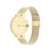 Horloge Heren Calvin Klein 25200403 Gouden