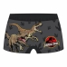 Calções de Banho Boxer para Meninos Jurassic Park