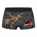 Costumul de Baie Boxer Pentru Copii Jurassic Park