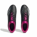 Futbolo batai suaugusiems Adidas Predator Accuracy.4 FXG Juoda