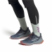 Pánské sportovní boty Adidas Terrex Soulstride Světle šedá