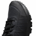 Hardloopschoenen voor Volwassenen Reebok Astroride Trail GTX 2.0 Zwart