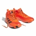 Basketballsko til børn Adidas Cross Em Up 5 K Wide Orange