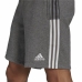 Kratke Športne Hlače za Moške Adidas Tiro 21 Temno siva